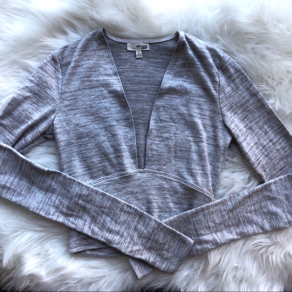 Aritzia Wilfred Free deep v-neck Brigitte crop top